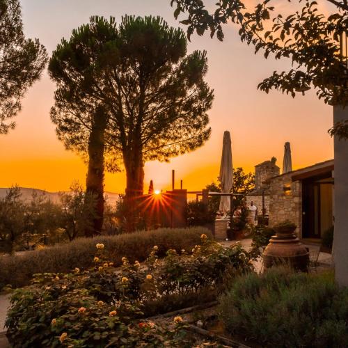 Tenuta San Pietro a pettine in 特萊維 Tenuta San Pietro a pettine in 特萊維