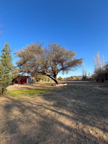 La Casa del Hornero en Chilecito in Los Sarmientos La Casa del Hornero en Chilecito in Los Sarmientos