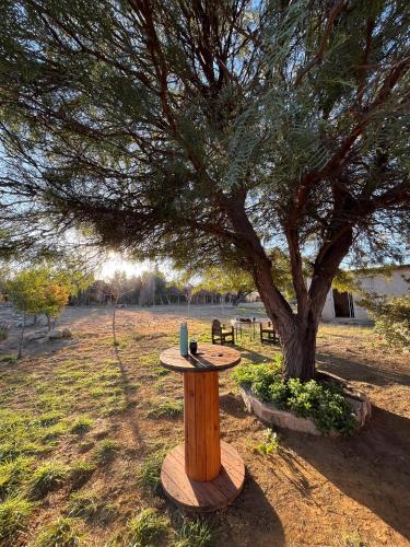 A környék, La Casa del Hornero en Chilecito in Los Sarmientos A környék, La Casa del Hornero en Chilecito in Los Sarmientos