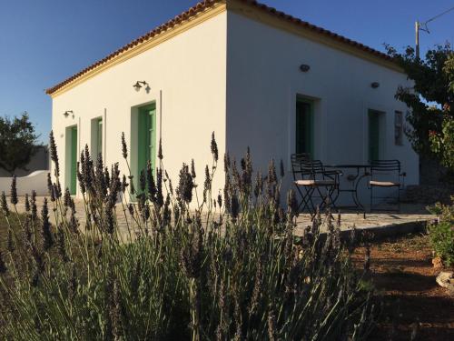Vrt, Villa Lemonia - Guest House in Aroniadika Vrt, Villa Lemonia - Guest House in Aroniadika