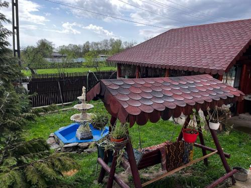 Casa Maria Alexandra in Ranca - Novaci Casa Maria Alexandra in Ranca - Novaci