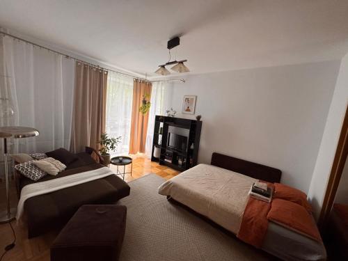 Waszyngtona, Boho studio