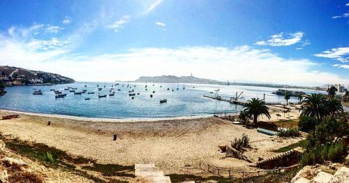 Θέα, Don Felix in Κοκίμπο Θέα, Don Felix in Κοκίμπο