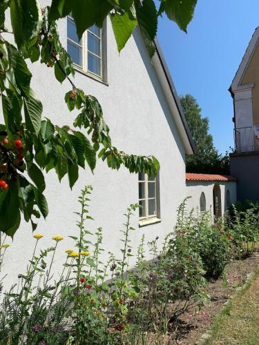 Exterior view, Charming holiday home in the middle of Kivik in Kivik Exterior view, Charming holiday home in the middle of Kivik in Kivik