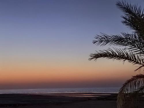NatureLand Beach Villa in Al Marfa' NatureLand Beach Villa in Al Marfa'