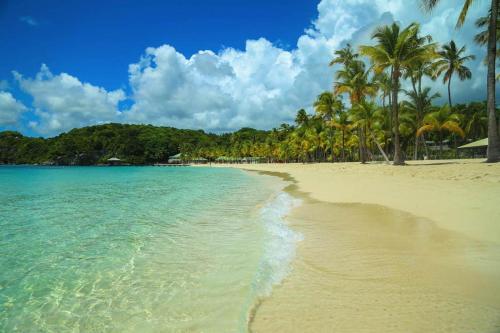 Studio Karaib à 15mn à pied de la plage du bourg (Studio Karaib a 15mn a pied de la plage du bourg) in แอนนี่ เซนเต้ Studio Karaib à 15mn à pied de la plage du bourg (Studio Karaib a 15mn a pied de la plage du bourg) in แอนนี่ เซนเต้