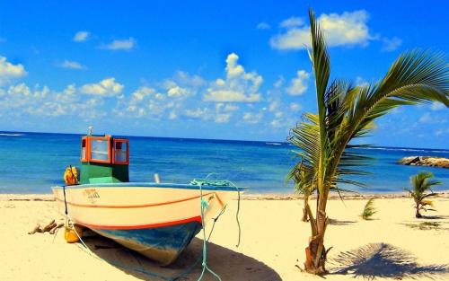 Studio Karaib à 15mn à pied de la plage du bourg (Studio Karaib a 15mn a pied de la plage du bourg) in แอนนี่ เซนเต้ Studio Karaib à 15mn à pied de la plage du bourg (Studio Karaib a 15mn a pied de la plage du bourg) in แอนนี่ เซนเต้