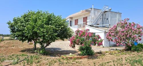 IMARET house in Platanitis Maronia IMARET house in Platanitis Maronia