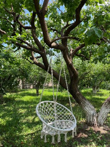 Surrounding environment, Forest Garden Karbi in Ashtarak Surrounding environment, Forest Garden Karbi in Ashtarak