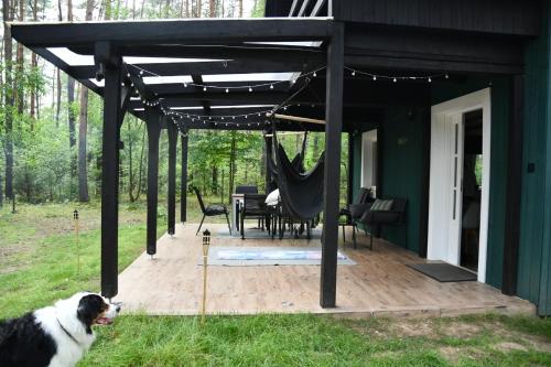 Daleko od Szosy in Zaluski Daleko od Szosy in Zaluski