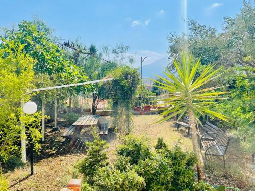 Garden, Il Giardino di Rosa & Elino in Salerno Garden, Il Giardino di Rosa & Elino in Salerno