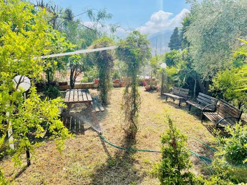 Garden, Il Giardino di Rosa & Elino in Salerno Garden, Il Giardino di Rosa & Elino in Salerno