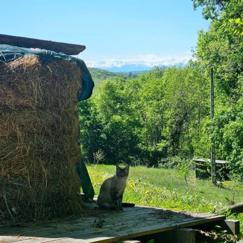 Location avec vue sur Pyrénées (Location avec vue sur Pyrenees) in Madiran Location avec vue sur Pyrénées (Location avec vue sur Pyrenees) in Madiran