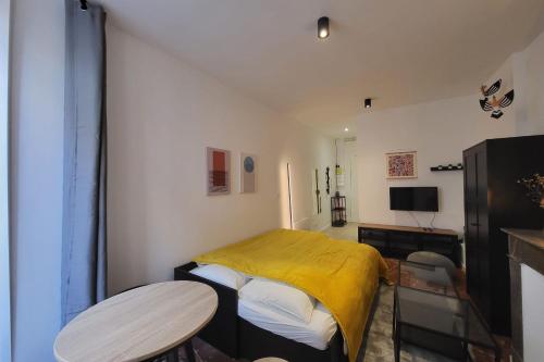 Nice and bright studio in the center of Toulouse