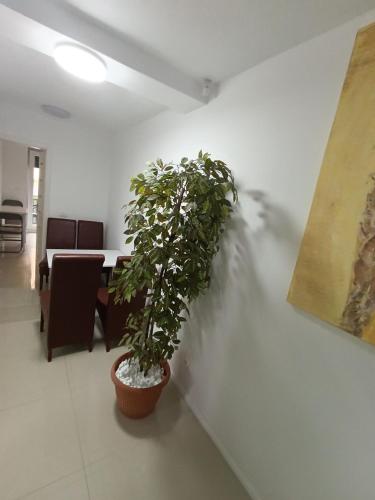 Anastasia House in มิไฮเอมิเนสกู Anastasia House in มิไฮเอมิเนสกู