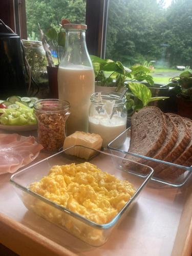 Ételek és italok, Ubytování v divočině (Ubytovani v divocine) in Srbska Kamenice Ételek és italok, Ubytování v divočině (Ubytovani v divocine) in Srbska Kamenice