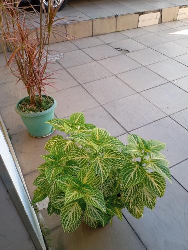 Special Room 4U in Iraja Special Room 4U in Iraja