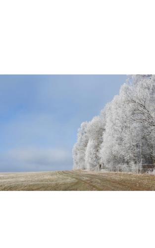 Hotel U Radnice Aš (Hotel U Radnice As) in Mostov Hotel U Radnice Aš (Hotel U Radnice As) in Mostov