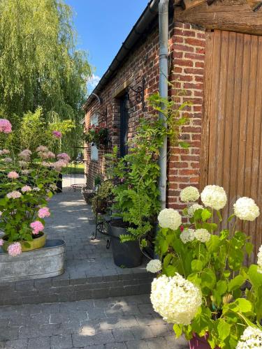 Au petit bonheur de séraphine (Au petit bonheur de seraphine) in Avesnes-sur-Helpe Au petit bonheur de séraphine (Au petit bonheur de seraphine) in Avesnes-sur-Helpe