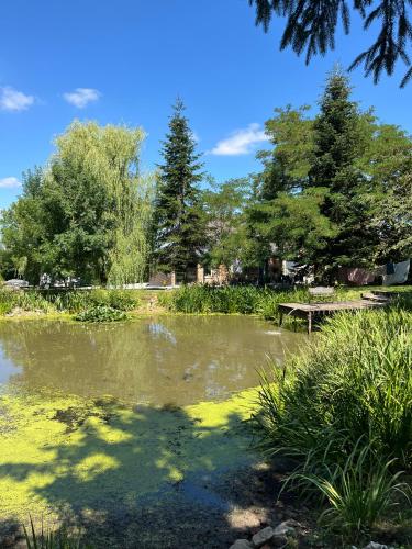 A környék, Au petit bonheur de séraphine (Au petit bonheur de seraphine) in Avesnes-sur-Helpe A környék, Au petit bonheur de séraphine (Au petit bonheur de seraphine) in Avesnes-sur-Helpe
