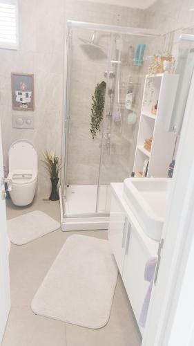 Luxurious Apartment close to Istanbul Center in Kagithane Luxurious Apartment close to Istanbul Center in Kagithane