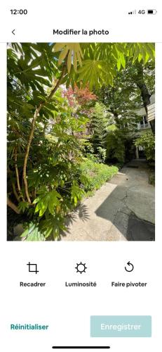 Parisian little house-studio in Montmartre Parisian little house-studio in Montmartre