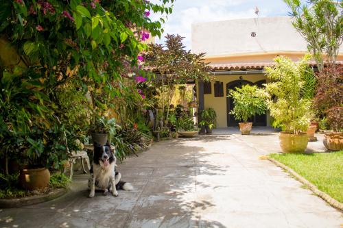 Hotel Suíte no jardim - Praia dos Anjos
