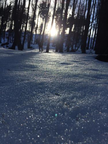 A környék, Ferienwohnung 1000 Krauthof in Laimbach Am Ostrong A környék, Ferienwohnung 1000 Krauthof in Laimbach Am Ostrong