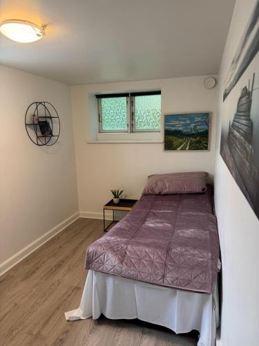 SleepIn Kolding in Kolding SleepIn Kolding in Kolding