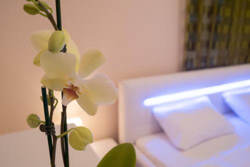 Hotel Anna Apartment