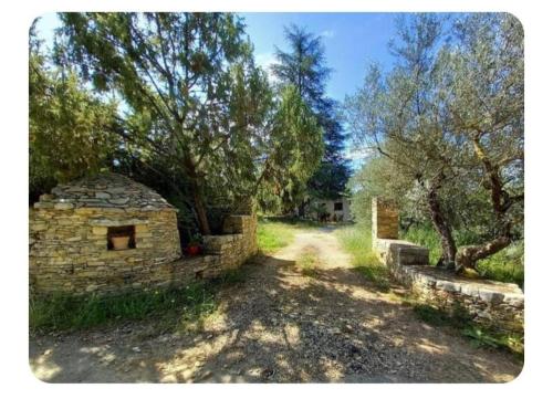 L'oliveraie in Correns L'oliveraie in Correns