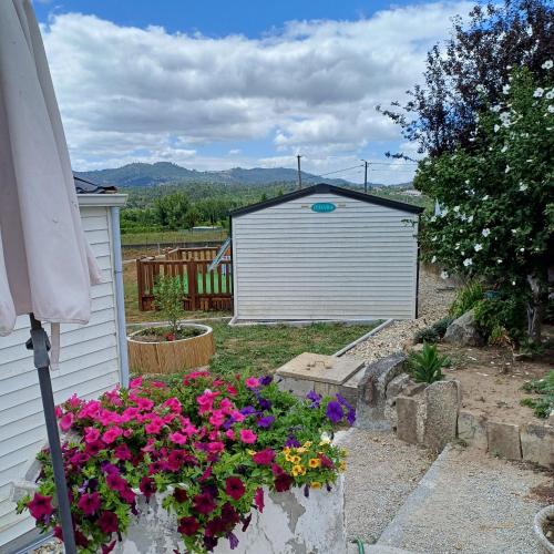 Casa Cany in บาร์เรย์โรส Casa Cany in บาร์เรย์โรส