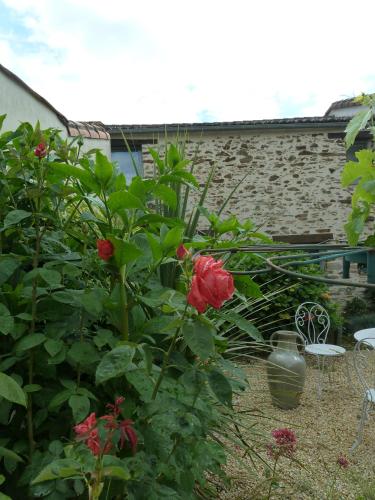 This photo about Fleur de Vigne shared on HyHotel.com