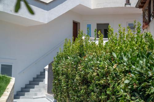 外部景觀, Suite Holiday Preziosa in 維耶斯泰 外部景觀, Suite Holiday Preziosa in 維耶斯泰