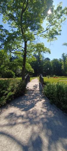 Villa Polonia in Jelenia Gora Villa Polonia in Jelenia Gora