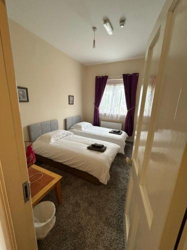 Celtic Park in อเดร์ Celtic Park in อเดร์