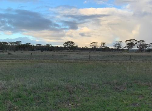 Merredin Cottage on the Avenue in Merredin Merredin Cottage on the Avenue in Merredin