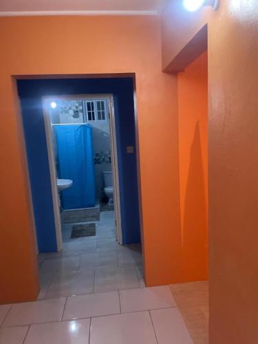 Shower, DeDe's Place in Anse La Raye Shower, DeDe's Place in Anse La Raye