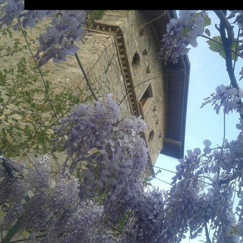 Agriturismo Cascina Battignana
Agriturismo Cascina Battignana