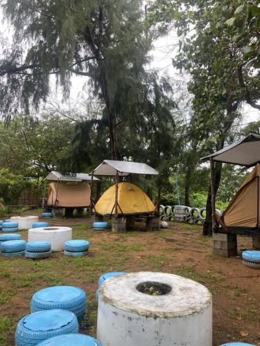 Ut Ngoc Camping in Can Gio Ut Ngoc Camping in Can Gio