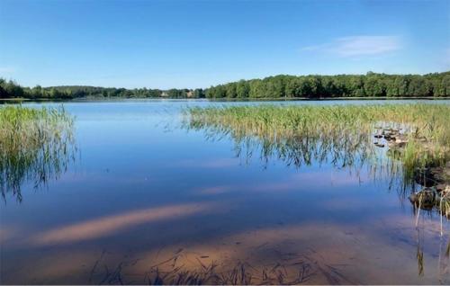 外部景觀, Beautiful Apartment In Holmsjö With Wifi (Beautiful Apartment In Holmsjo With Wifi) in 賀爾約 外部景觀, Beautiful Apartment In Holmsjö With Wifi (Beautiful Apartment In Holmsjo With Wifi) in 賀爾約