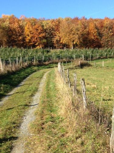 This photo about Gasthof Westfeld shared on HyHotel.com