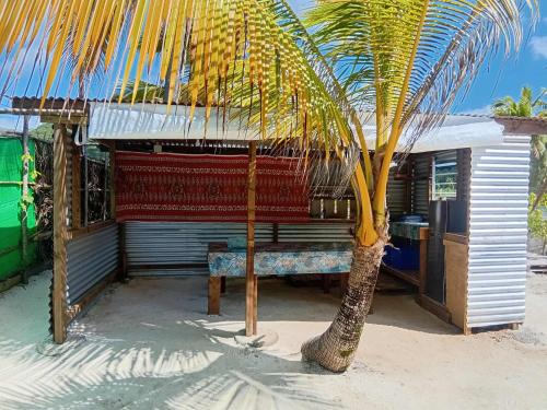مطبخ, Chill Camp Tahaa in Patio مطبخ, Chill Camp Tahaa in Patio