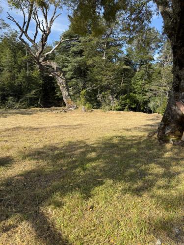 Cabaña rivera del Captrén (Cabana rivera del Captren) in Curacautin Cabaña rivera del Captrén (Cabana rivera del Captren) in Curacautin