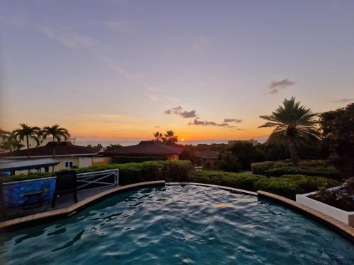 Awa Y Coco in Wishi Awa Y Coco in Wishi