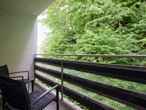 Löwen Lodge (Lowen Lodge) in Seelisberg Löwen Lodge (Lowen Lodge) in Seelisberg