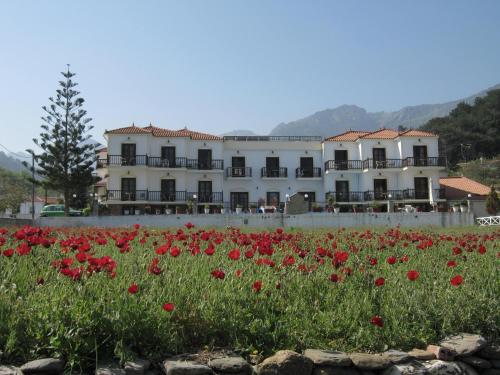 Bejárat, Hotel Apartment Agios Konstantinos in Valeontades Bejárat, Hotel Apartment Agios Konstantinos in Valeontades
