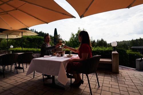 Balcony/terrace, Hotel Schwarz Alm Zwettl in Zwettl Stadt Balcony/terrace, Hotel Schwarz Alm Zwettl in Zwettl Stadt