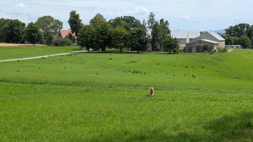 A környék, Ferienwohnungen SATKULA in Panschwitz-Kuckau A környék, Ferienwohnungen SATKULA in Panschwitz-Kuckau