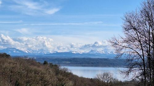 周邊環境, La Petite Fleur in 恩格斯 周邊環境, La Petite Fleur in 恩格斯
